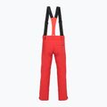 Pantaloni de schi pentru bărbați Descente Swiss electric red 2