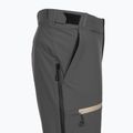 Pantaloni de schi pentru bărbați Descente Light Insulated dark gray 3