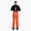 Pantaloni de schi pentru bărbați Descente Swiss mandarin orange 2