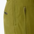 Pantaloni de schi pentru bărbați Descente Roscoe olive green 8