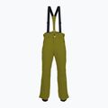 Pantaloni de schi pentru bărbați Descente Roscoe olive green