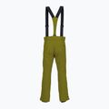 Pantaloni de schi pentru bărbați Descente Roscoe olive green 2