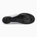 Încălțăminte de șosea pentru bărbați  Shimano SH-RC302 white 4
