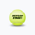 Mingi de tenis pentru copii Dunlop Stage 1 3 buc. verde 601338 3