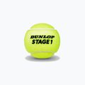 Mingi de tenis pentru copii Dunlop Stage 1 60 buc. verzi 601342 2