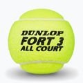 Piłki tenisowe Dunlop Fort All Court Ts 4B 2025 3