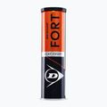 Mingi de tenis Dunlop Fort Clay Court 4B 2025