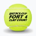 Mingi de tenis Dunlop Fort Clay Court 4B 2025 3