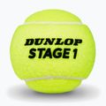 Mingi de tenis Dunlop Stage 1 3 pack green 3