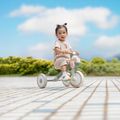 Bicicletă de echilibru cu trei roți Globber Learning Trike 2w1 Plus Ecologic pistachio 11