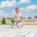 Bicicletă de echilibru cu trei roți Globber Learning Trike 2w1 Plus Ecologic pistachio 13