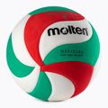 Mingea de volei topită, colorată V5M2200