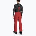 Pantaloni de schi pentru bărbați Descente Swiss electric red 2