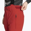 Pantaloni de schi pentru bărbați Descente Swiss electric red 4