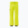 Pantaloni de schi pentru bărbați Descente Swiss giant yellow