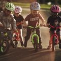 Bicicletă fără pedale pentru copii Kellys Kite 12, roșu, 65284 5