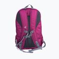 Rucsac turistic Karrimor U-Bahn 20 l boysenberry 3