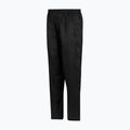 Pantaloni de trekking pentru bărbați REGATTA Pack It Overtrousers black 9