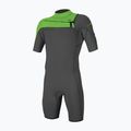 O'Neill Hammer 2mm Hammer 2mm Chest Zip S/S Swim Foam Spring gri 4927