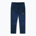 Pantaloni turistici pentru bărbați Berghaus Fast Hike dusk 10