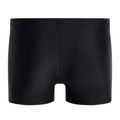 Costume de baie Speedo Tech Logo pentru bărbați negru 68-11354F130 2