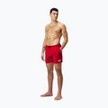 Pantaloni scurți de înot bărbați Speedo Boom Logo 16' roșu 68-124336446 2