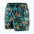 Pantaloni scurți de înot pentru bărbați Speedo Digital Printed Leisure 14' verde 68-13454G676