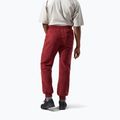 Pantaloni pentru bărbați Berghaus Prism syrah 3