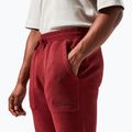 Pantaloni pentru bărbați Berghaus Prism syrah 6