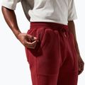 Pantaloni pentru bărbați Berghaus Prism syrah 7