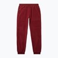 Pantaloni pentru bărbați Berghaus Prism syrah 9