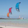 Ozone Zephyr V7 zmeu zmeu zmeu galben ZV7K17YW 6