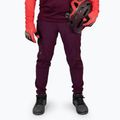 Pantaloni de ciclism pentru bărbați Endura MT500 Burner aubergine