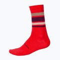 Șosete de ciclism Endura BaaBaa Merino Stripe pomegranate