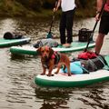 SUP bord Red Paddle Co Voyager 12'6 verde 17623 13