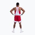 Tricou pentru bărbați Boxraw Stevenson V2 Tank red/white 3