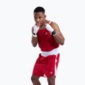 Tricou pentru bărbați Boxraw Stevenson V2 Tank red/white 4