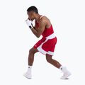 Tricou pentru bărbați Boxraw Stevenson V2 Tank red/white 9
