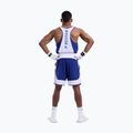 Pantaloni scurți de antrenament pentru bărbați Boxraw Stevenson V2 blue/white 3