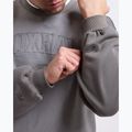 Bluză pentru bărbați Boxraw East Street Sweatshirt distressed grey 8
