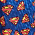 Pantaloni scurți de baie pentru copii Zoggs Superman albastru pentru copii 2