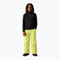 Bluză fleece pentru copii Dare 2b Freehand Fleece black 3