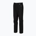 Pantaloni de trekking pentru bărbați REGATTA Highton Stretch black 5