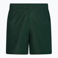 Pantaloni scurți de înot Nike Essential 5" Volley pentru bărbați, verde NESSA560-303