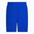 Pantaloni scurți de baie Nike Essential 5" Volley pentru bărbați, albastru NESSA560-494 4