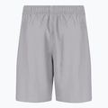 Pantaloni scurți de înot pentru bărbați Nike Essential 7" Volley gri NESSA559-079 2