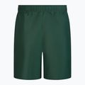 Pantaloni scurți de înot pentru bărbați Nike Essential 7' verde NESSA559 2