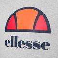 Hanorac de antrenament pentru bărbați Ellesse Dahryl Oh Hoody gri marl 7