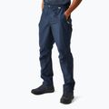 Pantaloni de trekking pentru bărbați REGATTA Highton Stretch navy