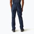 Pantaloni de trekking pentru bărbați REGATTA Highton Stretch navy 3